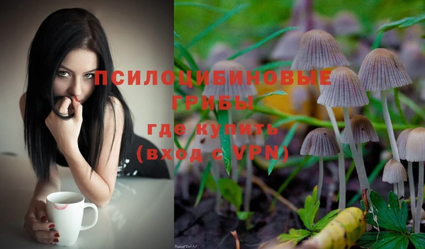не бодяженный Переславль-Залесский
